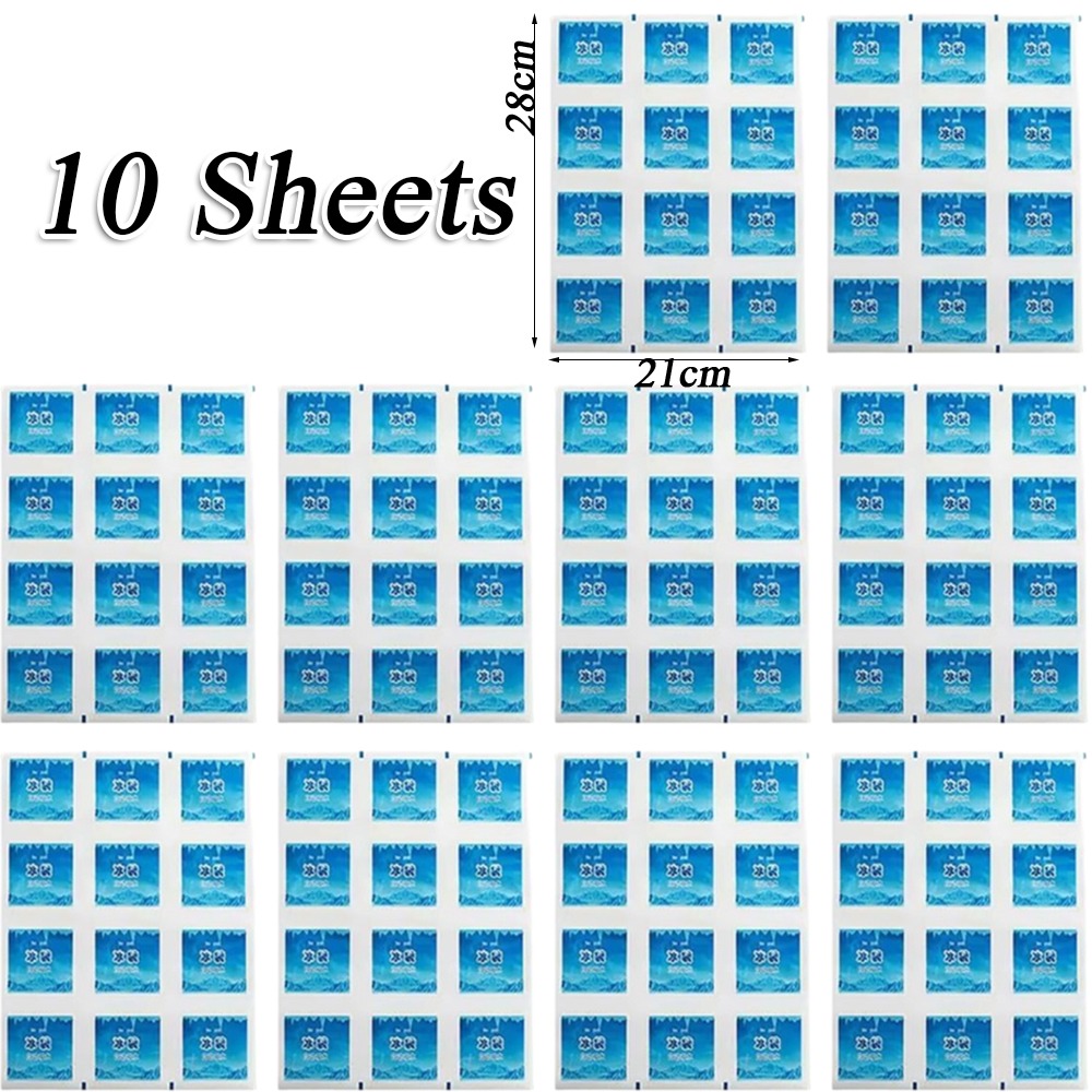 Paquete de 10 Bolsas de Gel Re - Reusable Bag reseña y precio