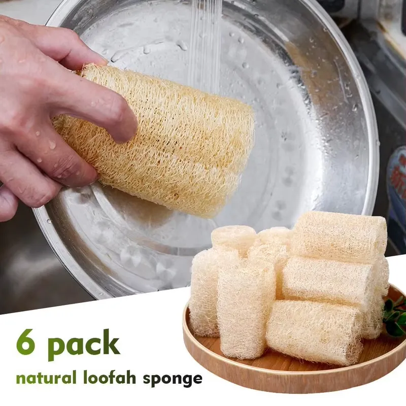 Cepillo de Luffa Natural para  - Eco Sponge reseña y precio