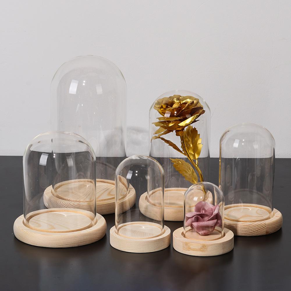 Luces Decorativas para el Hoga - Reusable Bottle reseña y precio